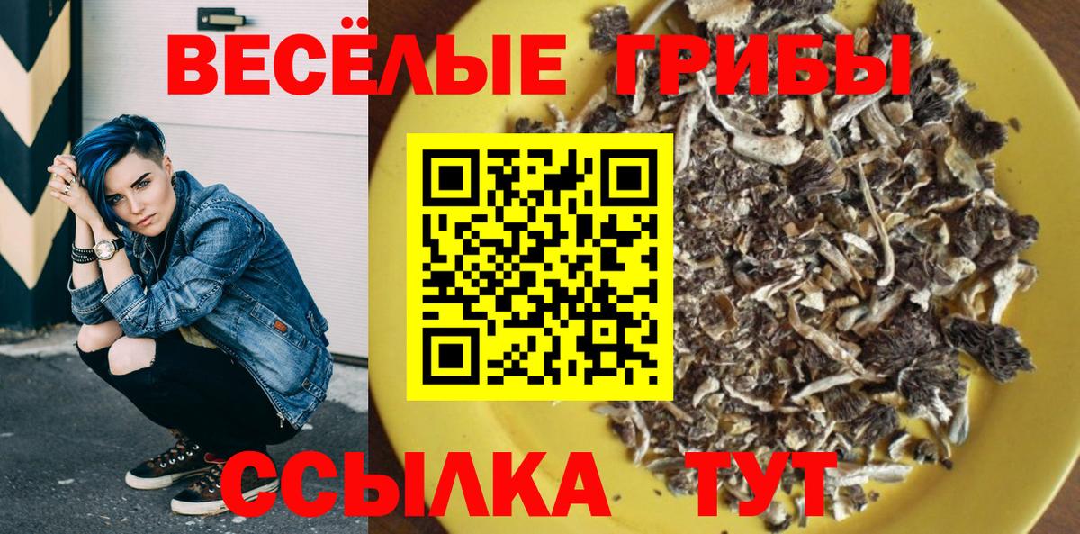 Галлюциногенные грибы Psilocybine cubensis  Вход с VPN  Сердобск 