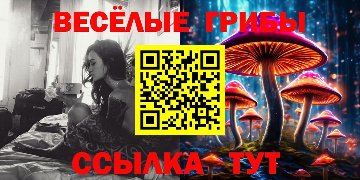 Псилоцибиновые грибы мухоморы Сердобск